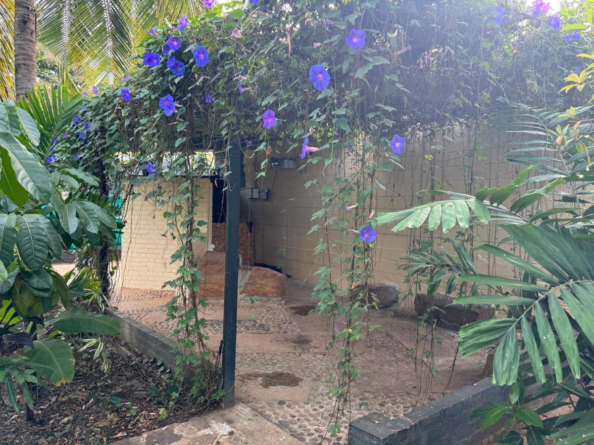 Chikoo Farm Inn Bangalore Luaran gambar